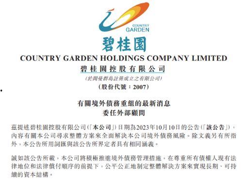碧桂园爆料最新消息债务,揭秘最新债务动态与应对策略