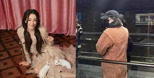 狗仔爆料怀孕最新,明星夫妇喜得贵子，甜蜜孕期曝光