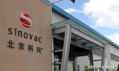 科兴中维最新爆料信息,揭秘疫苗研发进展与挑战