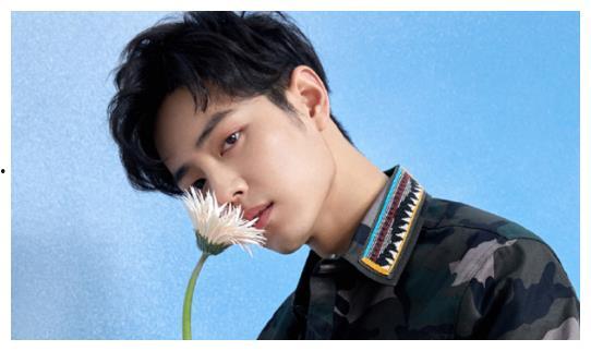 杨紫肖战最新消息爆料视频