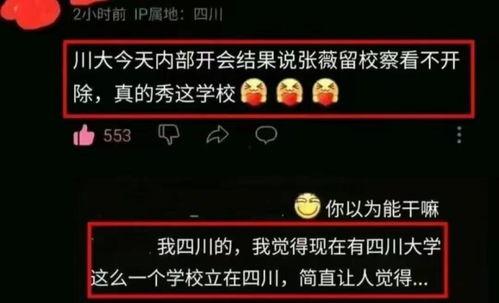 川大事件最新爆料